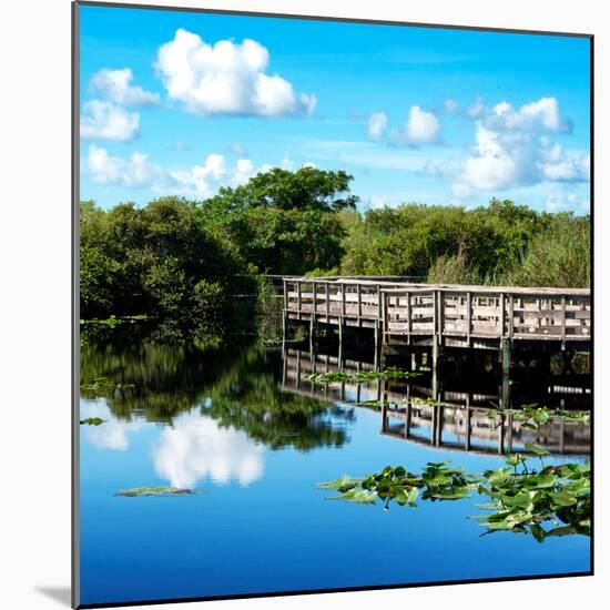 Pier Trail - Everglades National Park - Unesco World Heritage Site - Florida - USA-Philippe Hugonnard-Mounted Photographic Print