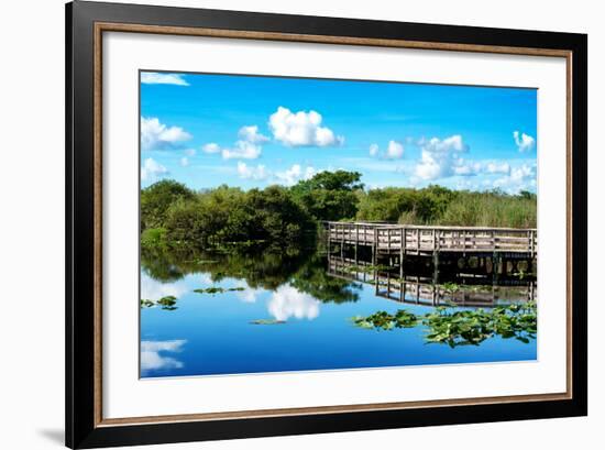 Pier Trail - Everglades National Park - Unesco World Heritage Site - Florida - USA-Philippe Hugonnard-Framed Photographic Print