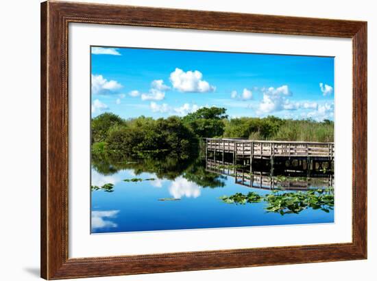 Pier Trail - Everglades National Park - Unesco World Heritage Site - Florida - USA-Philippe Hugonnard-Framed Photographic Print