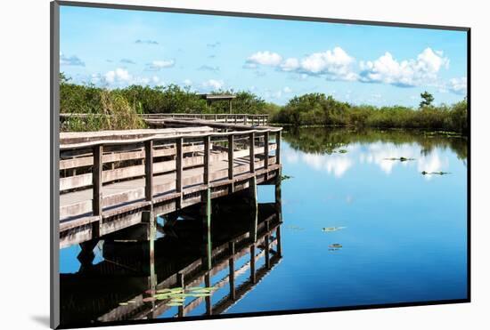 Pier Trail - Everglades National Park - Unesco World Heritage Site - Florida - USA-Philippe Hugonnard-Mounted Photographic Print