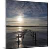 Pier under Water in Winter-Wisslaren-Mounted Photographic Print