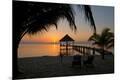 Premium Photographic Print