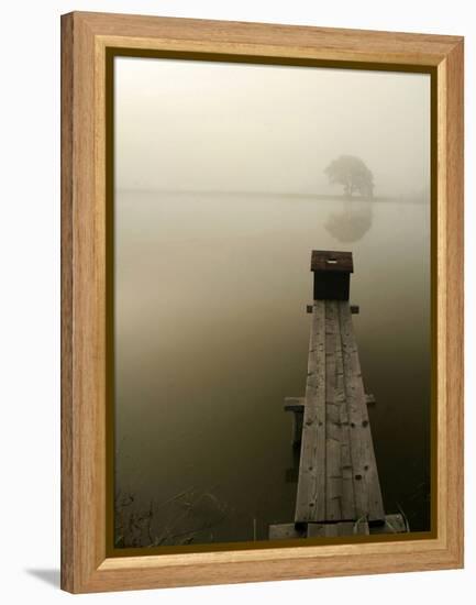 Pier-null-Framed Premier Image Canvas