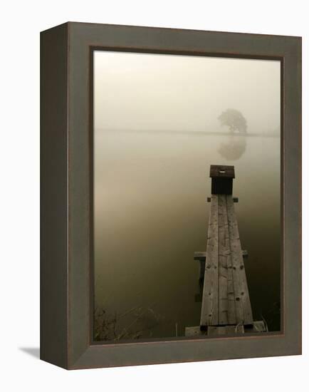 Pier-null-Framed Premier Image Canvas