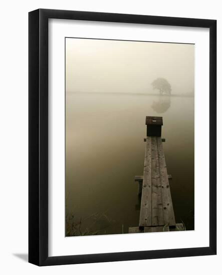 Pier-null-Framed Photographic Print