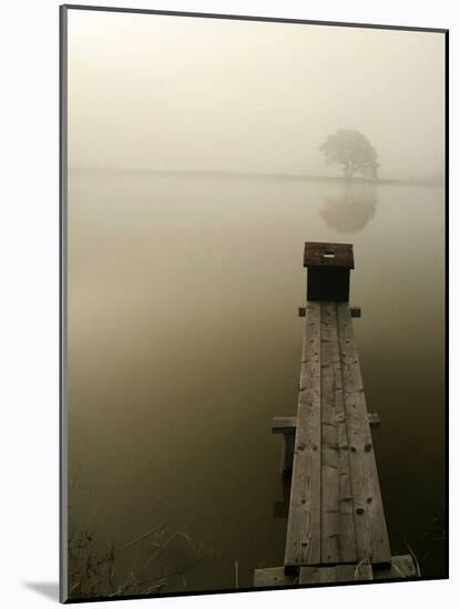 Pier-null-Mounted Photographic Print