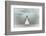 Pier-Martin Steeb-Framed Photographic Print