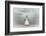 Pier-Martin Steeb-Framed Photographic Print