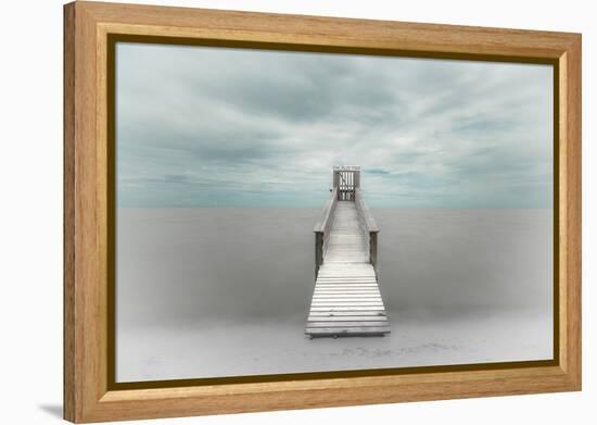 Pier-Martin Steeb-Framed Premier Image Canvas