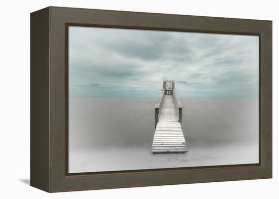 Pier-Martin Steeb-Framed Premier Image Canvas