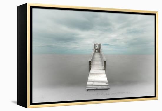 Pier-Martin Steeb-Framed Premier Image Canvas