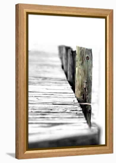 Pier-Karen Williams-Framed Premier Image Canvas