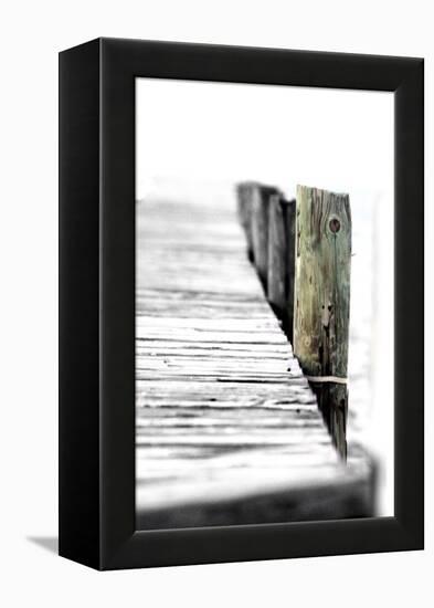 Pier-Karen Williams-Framed Premier Image Canvas