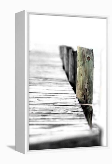 Pier-Karen Williams-Framed Premier Image Canvas