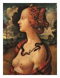 Portrait of Simonetta Vespucci, c. 1480-Piero di Cosimo Vespucci-Art Print