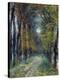 Stretched Canvas Print