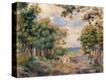 Stretched Canvas Print