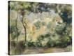 Stretched Canvas Print