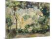 Giclee Print