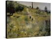 Stretched Canvas Print