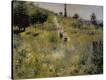Stretched Canvas Print