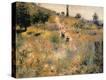 Stretched Canvas Print