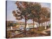 Stretched Canvas Print