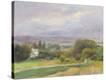 Stretched Canvas Print