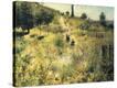 Stretched Canvas Print