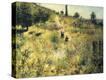 Stretched Canvas Print