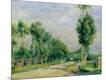 Giclee Print