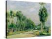 Stretched Canvas Print