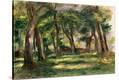 Stretched Canvas Print