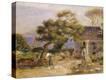 Stretched Canvas Print