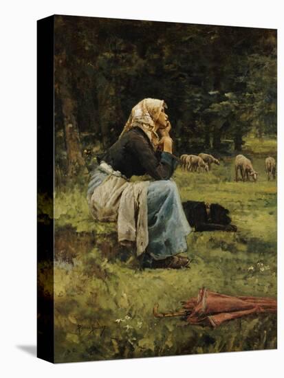 Stretched Canvas Print, , large