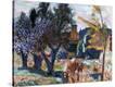 Stretched Canvas Print