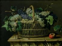 Grapes, Peaches, Plums, Pears and a Melon in a Basket with a Parakeet, a Red Squirrel and a…-Pierre Dupuis-Framed Giclee Print