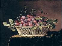 Grapes, Peaches, Plums, Pears and a Melon in a Basket with a Parakeet, a Red Squirrel and a…-Pierre Dupuis-Framed Giclee Print