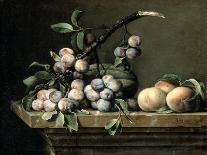 Plums, Melon and Peaches, C1630-1680-Pierre Dupuis-Premier Image Canvas