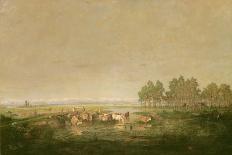 Marshland in Les Landes, C.1853-Pierre Etienne Theodore Rousseau-Giclee Print