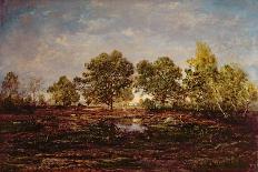 The Pond at Dagneau (Dagan) 1858-60-Pierre Etienne Theodore Rousseau-Giclee Print