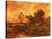 Stretched Canvas Print