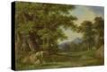 Stretched Canvas Print