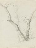 Branche d'arbre avec des feuilles-Pierre Henri de Valenciennes-Giclee Print