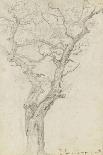 Trunk and Branches of a Tree in the Bois De Boulogne-Pierre Henri de Valenciennes-Giclee Print