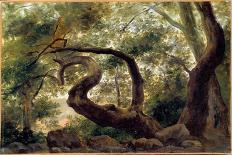 Paysage avec, au centre, un groupe d'arbres-Pierre Henri de Valenciennes-Giclee Print