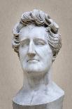 Bust of Georges Cuvier (1769-1832) (Marble)-Pierre Jean David d'Angers-Giclee Print