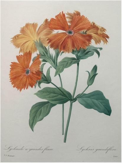 Art Print, , large