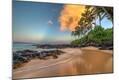 Photographic Print