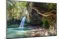 Premium Photographic Print